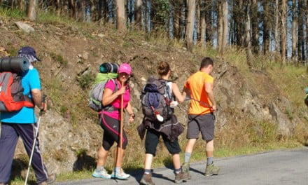 El Camino de Santiago